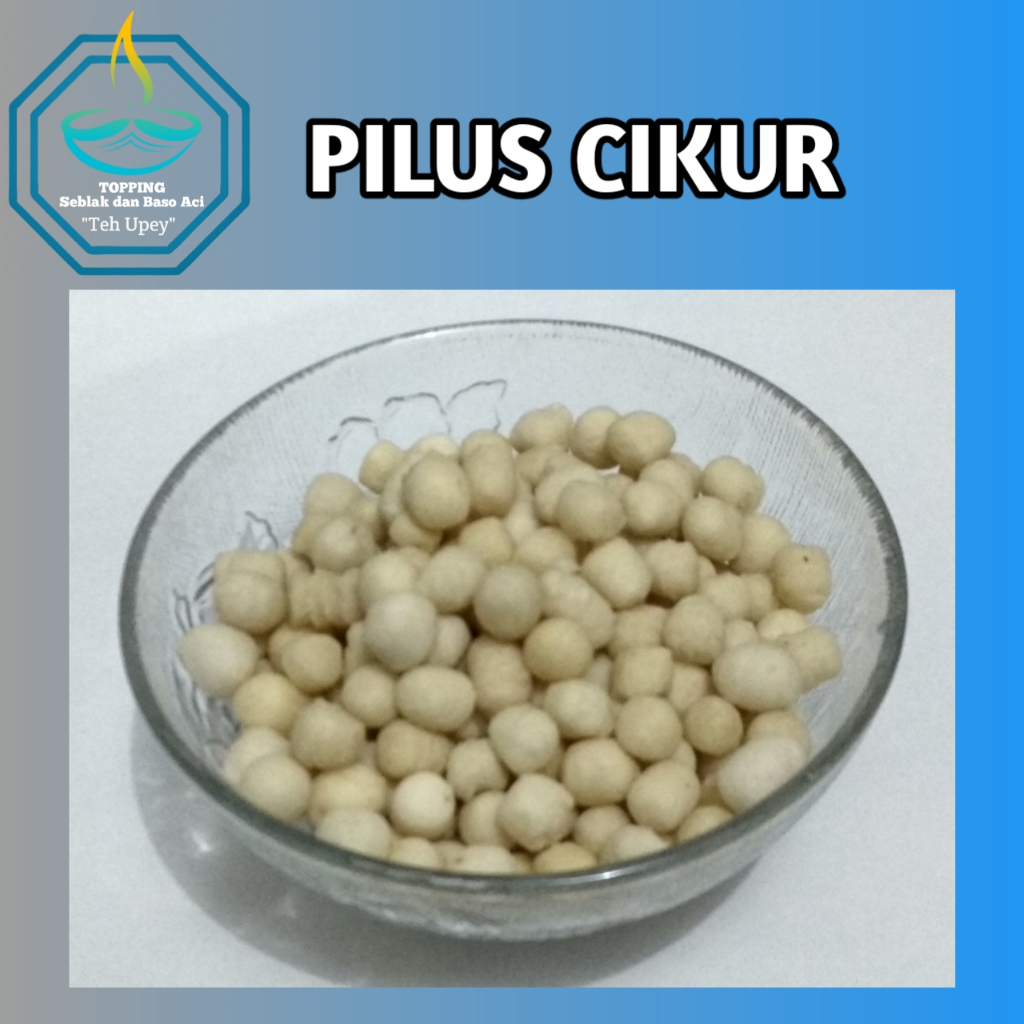 

PILUS KENCUR / CIKUR SARI RASA KILOAN ISIAN BASO ACI TOPPING SEBLAK