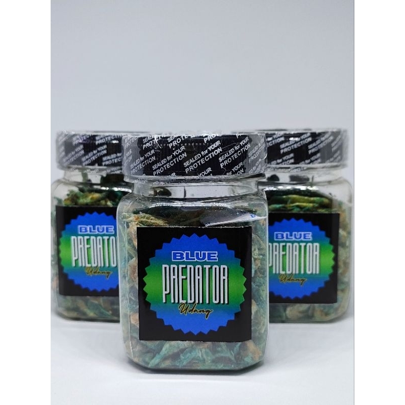 Udang Kering Pakan Ikan Channa BLUE // Udang Red Yellow Blue // COLOUR BOOSTER CHANNA