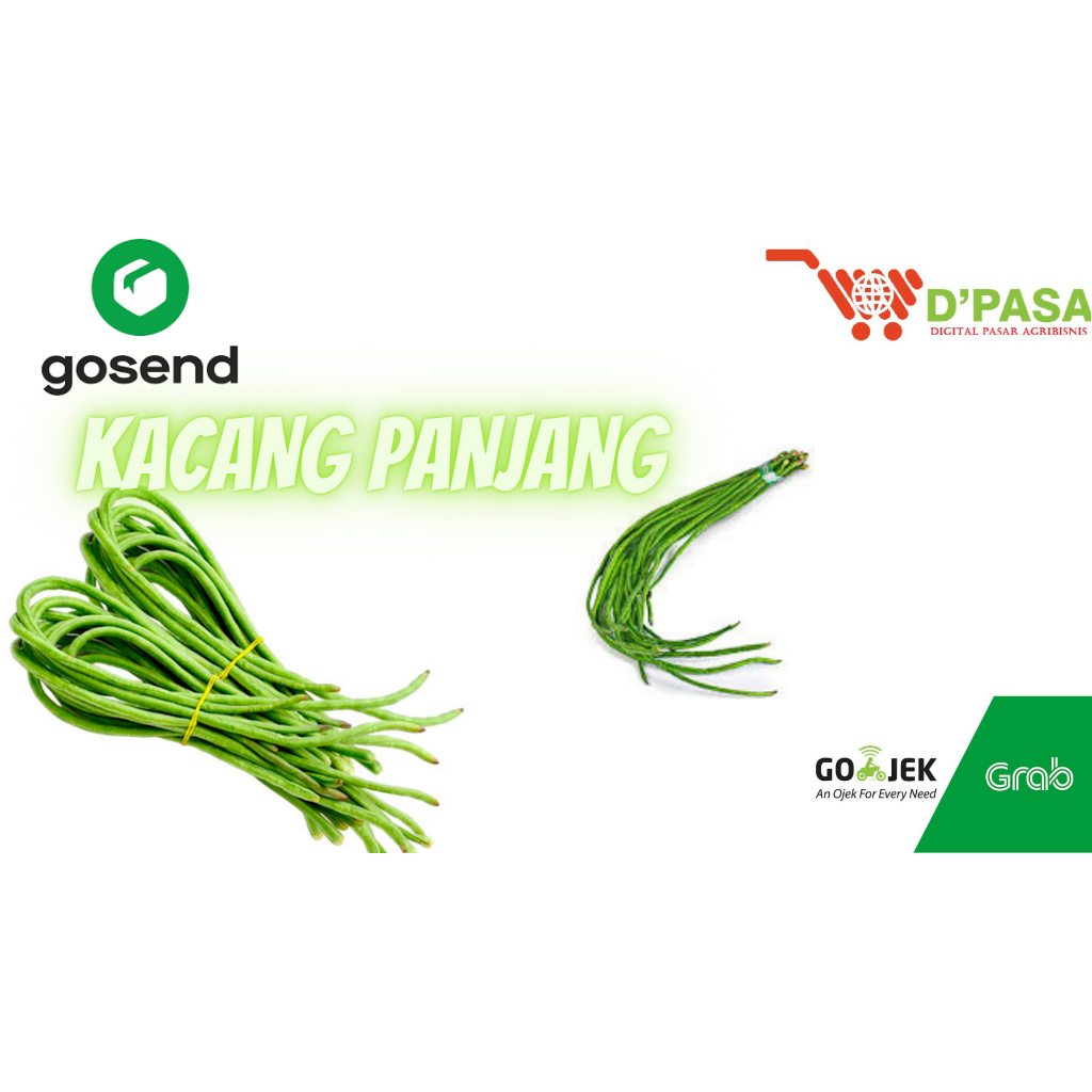 

KIRIM INSTAN Kacang Panjang Satu Ikat Sayur Segar Dpasa Padang