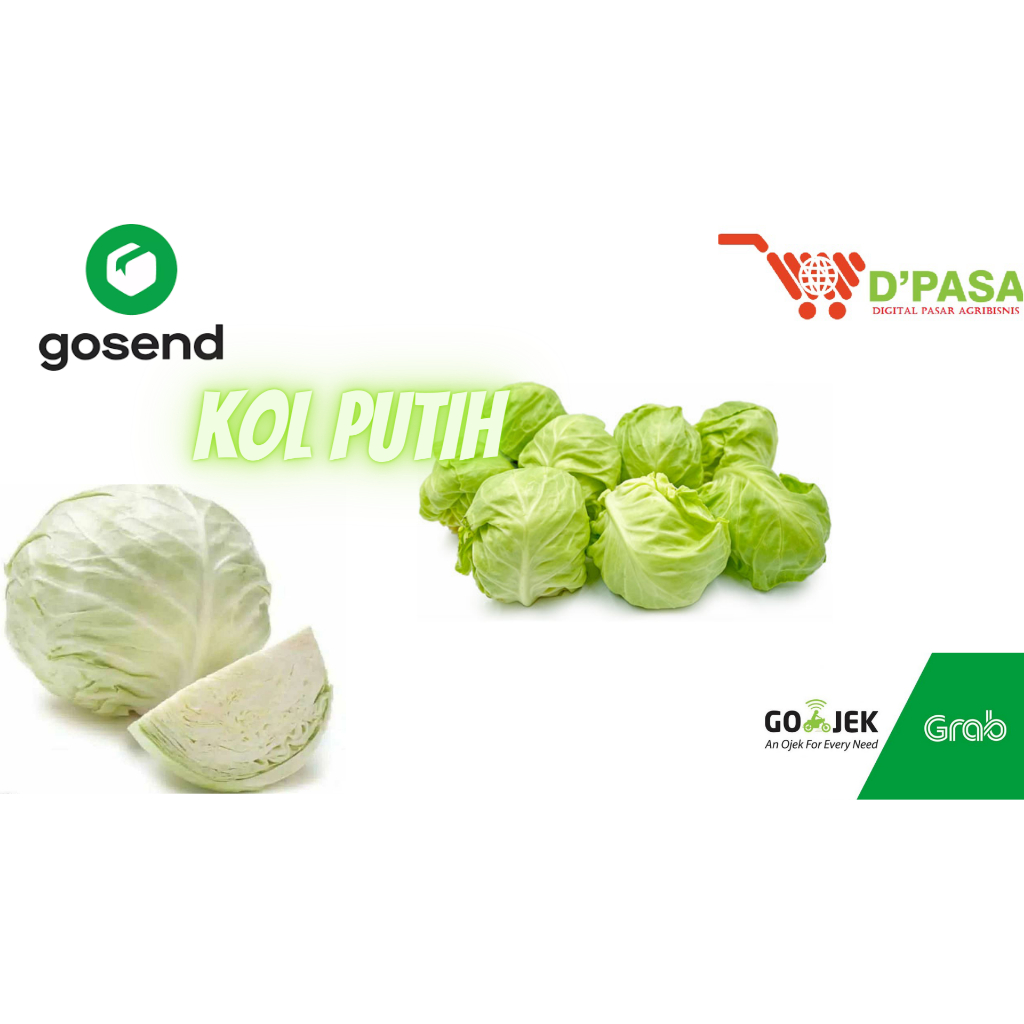 

KIRIM INSTAN Kol Putih White Cabbage 600 - 750gr