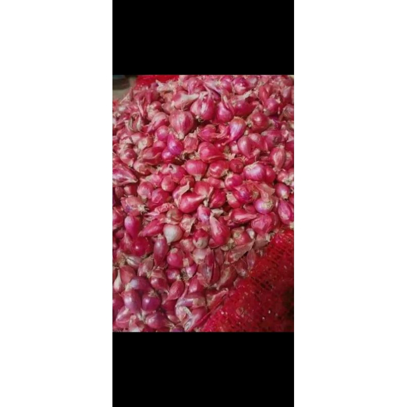 

Bawang merah 1/2kg