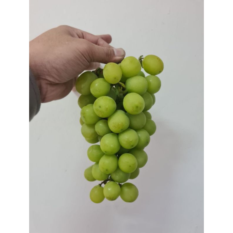 

anggur Muscat 1kg