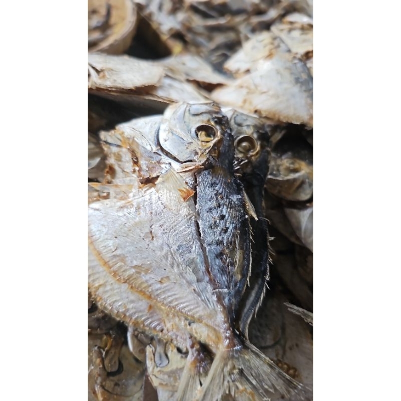 

ikan asin