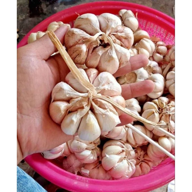 

Bawang putih setengah kilo