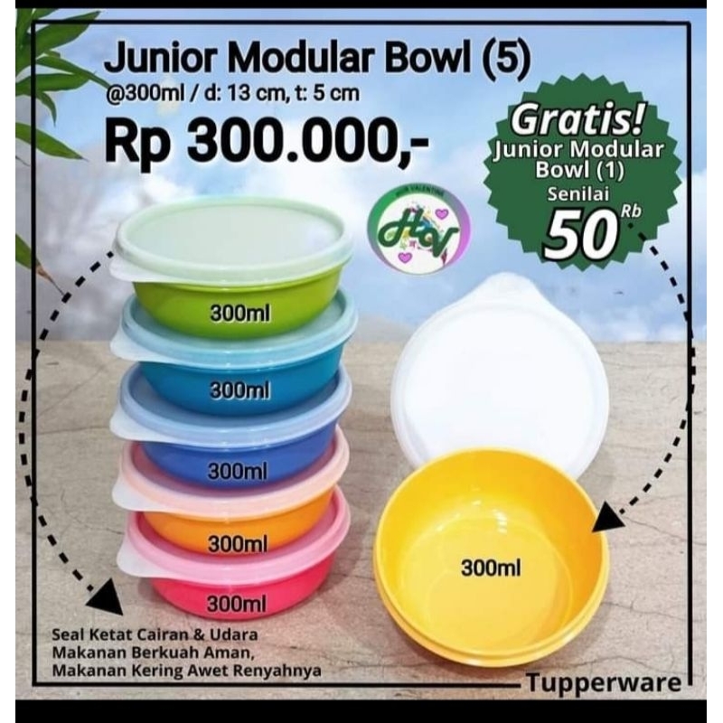 Junior modular bowl