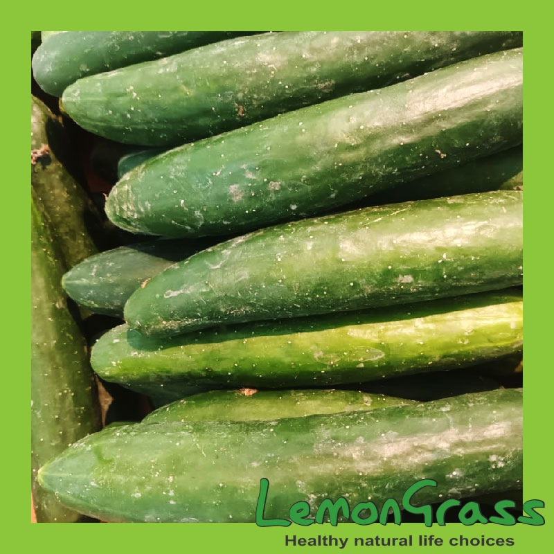 

Timun Fresh kemasan 500 gram Kirim Instan