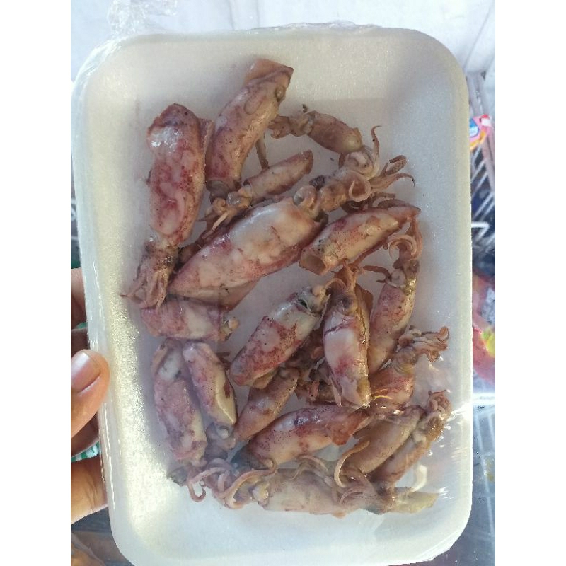 

cumi asin sotong