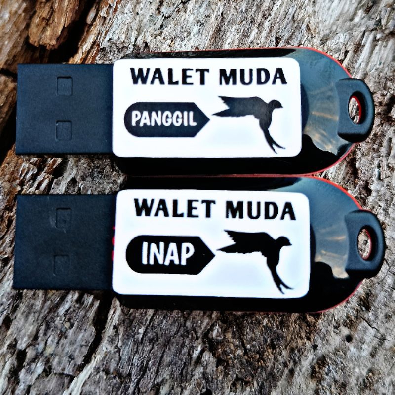 Paket SP+SI+ST Suara Walet Muda / Suara WALET ANAKAN / Musim Walet MUDA