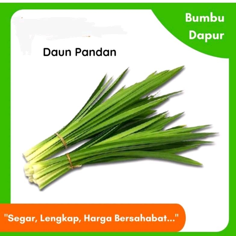 

Daun Pandan Wangi Segar