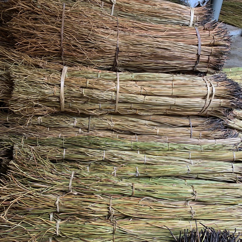 AKAR MANON ISI 100 BATANG/AKAR MENTAU / AKAR MANON DEKORASI