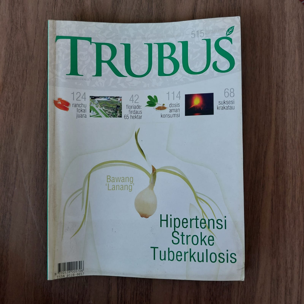 

TRUBUS HIPERTENSI STROKE TUBERKULOSIS
