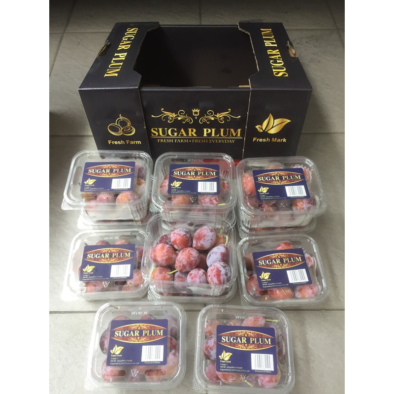 

Buah Sugar Plum 1 Dus (10 Pack) Fresh Import