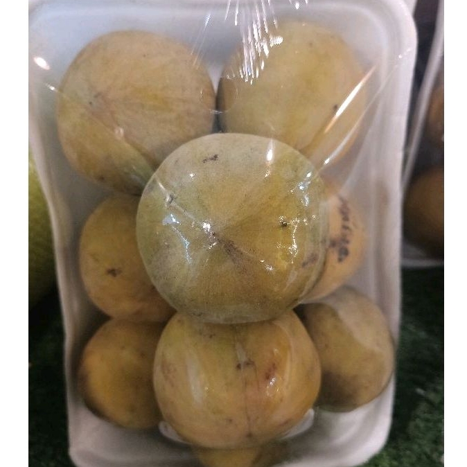 

Buah kecapi nusantara 1 kg stok terbatas