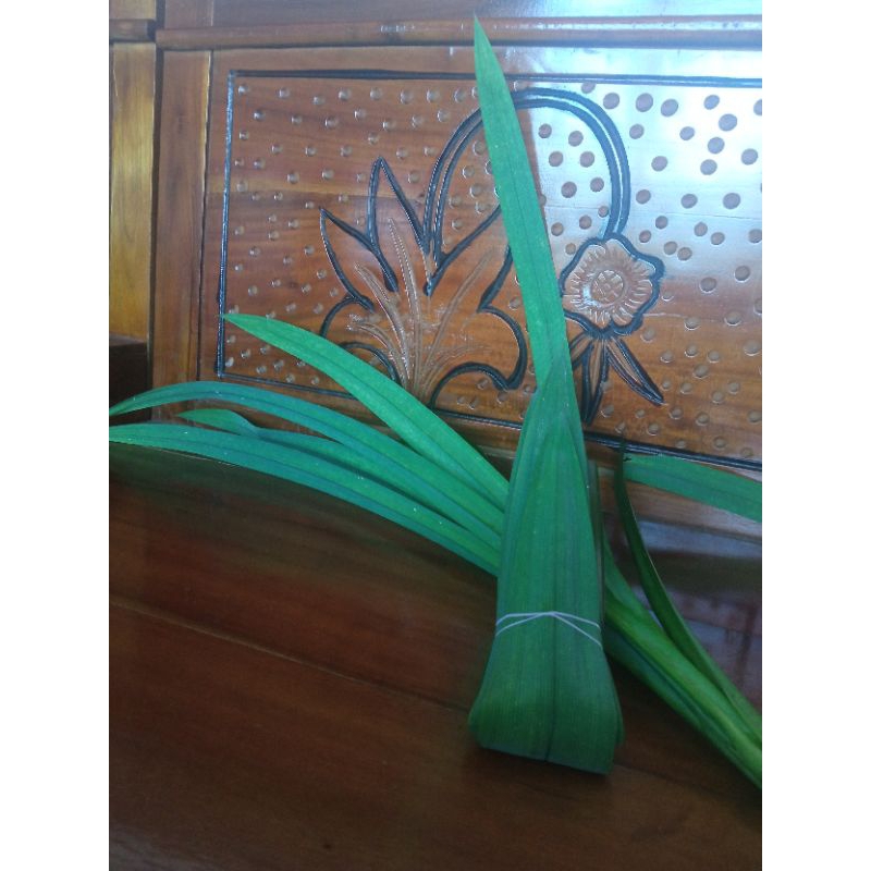 

daun pandan segar 18helai