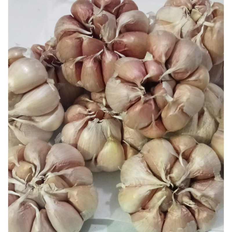 

Bawang Putih Premium