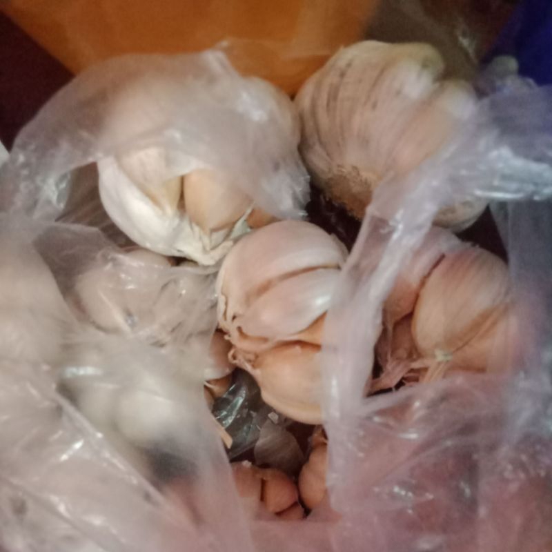 

bawangputih