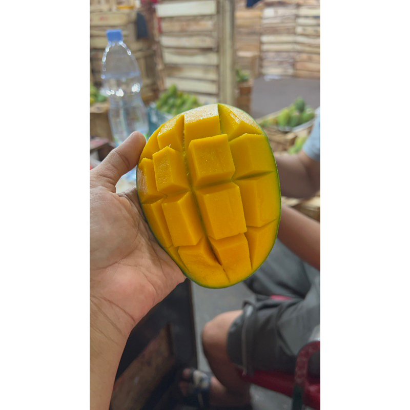 

mangga harum manis tangan pertama untuk kepo ke TT aja @asagumilang