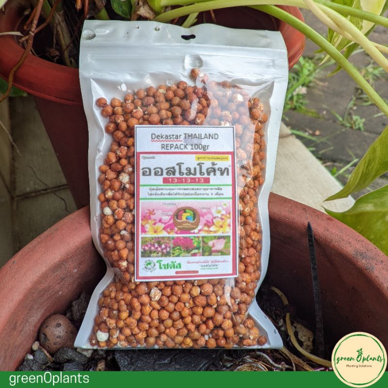 Pupuk Dekastar Thailand 13-13-13 REPACK 100gr