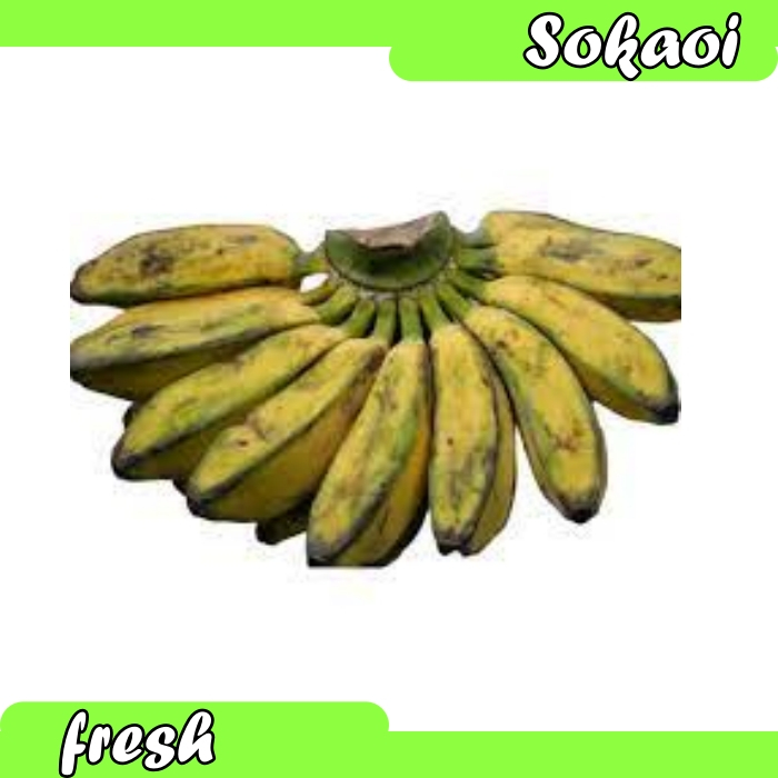 

PISANG KEPOK PISANG SEGAR