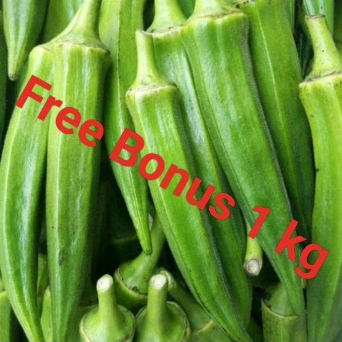 

Okra Hijau uk ¼ kg + Gratis Bonus