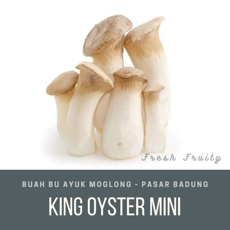 

king oyster mini/pack