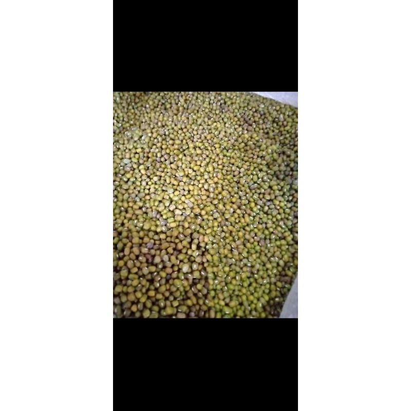 

KACANG HIJAU 1 KG