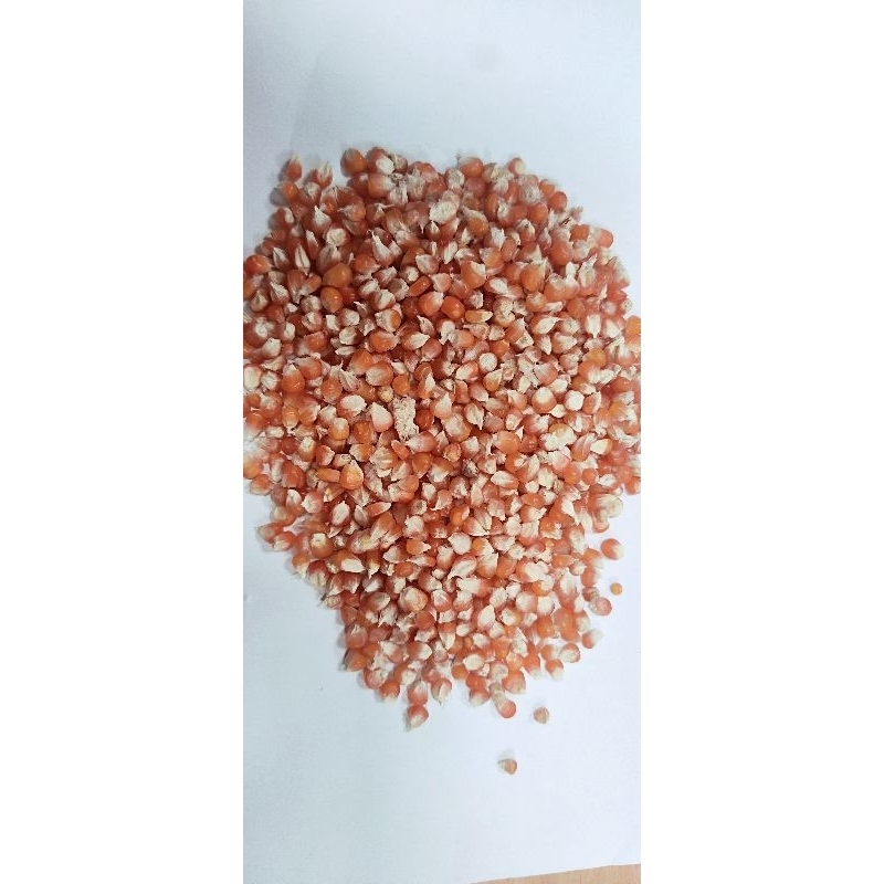 JAGUNG KRISTAL KECIL PROBOLINGGO 1KG