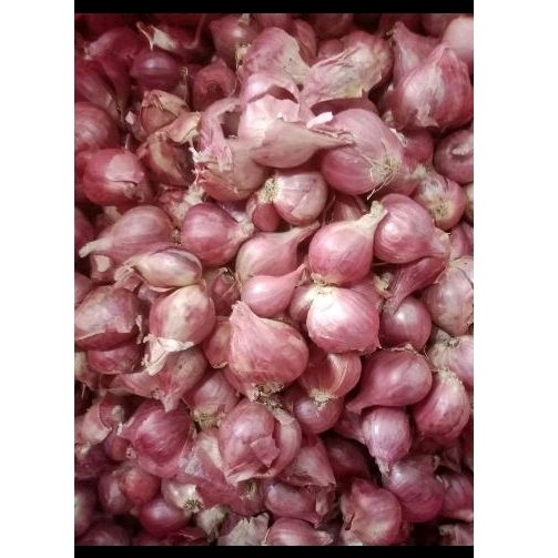 

BAWANG MERAH 1KG