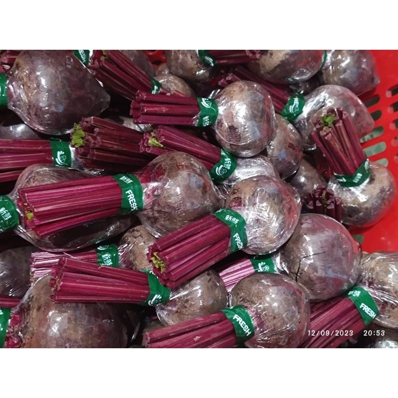 

Buah BIT segar 1 KG SUPER / Beet Root / Buah Bit / Herbal /Buah Segar Batu Malang / FREE PACKING KARDUS