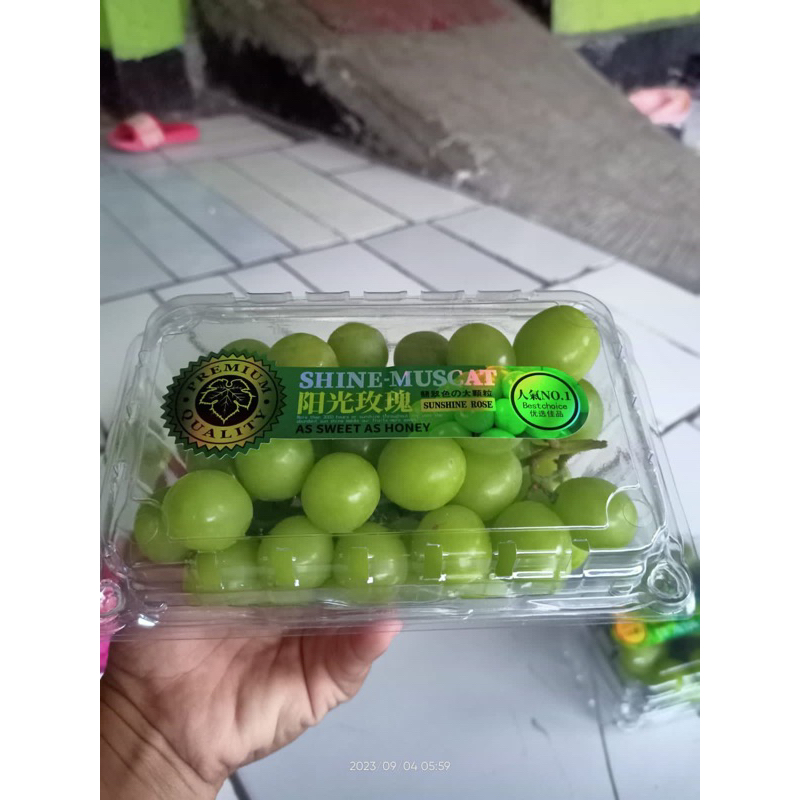 

anggur muscat ijo 500gr