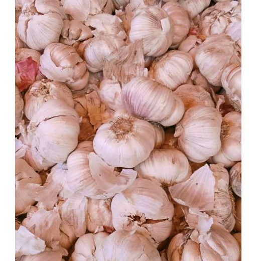 

MaRempah Bawang Putih 1kg bersih