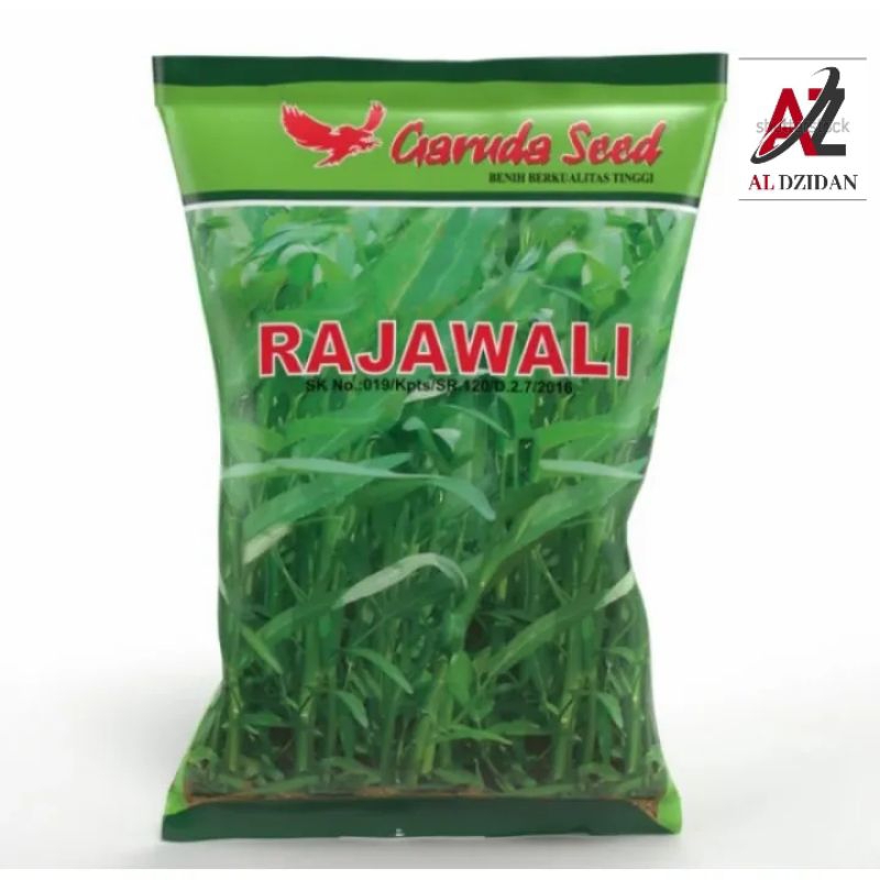 BENIH BIBIT KANGKUNG UNGGUL GARUDA SEED.1kg. BIBIT KANGKUNG