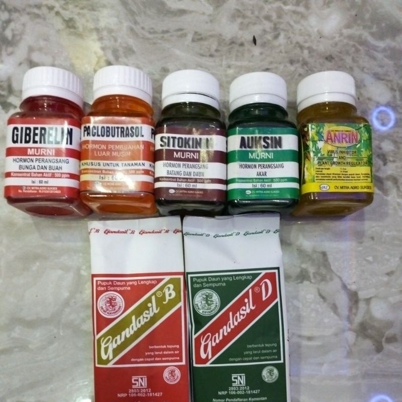 SITOKININ GIBERELIN AUKSIN ANRIN PACLOBRUTASOL