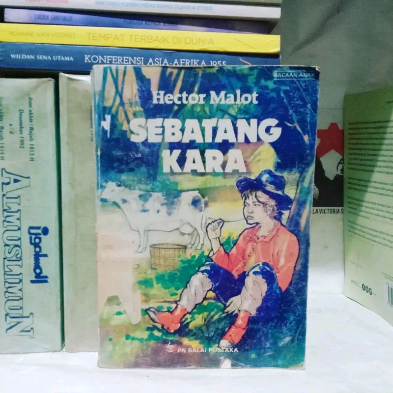 Sebatang Kara by Hector Malot - Balai Pustaka