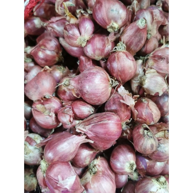 

Bawang Merah