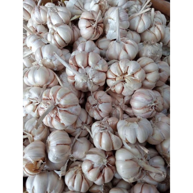 

( TERLARIS ) BAWANG PUTIH 1/2 KG