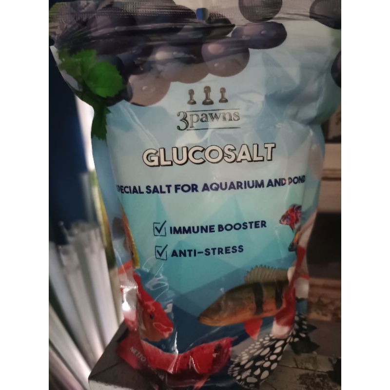 

garam import glucosalt 500 grm