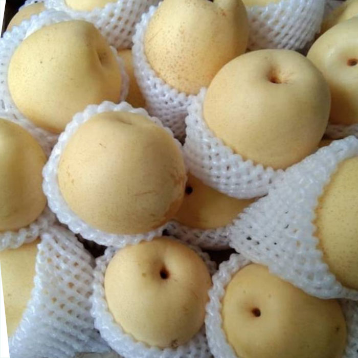 

Pir century 500g