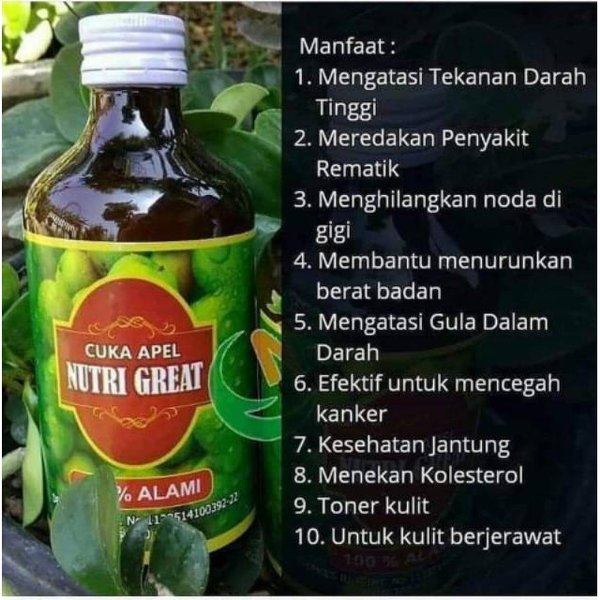 

Nutrigreat - Cuka Apel Vinegar Organic Apple Cider Herbal Non Alkohol Ampuh