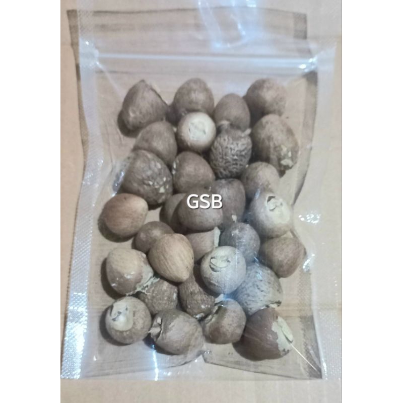 

Jual biji pinang tua di kupas 250 gram