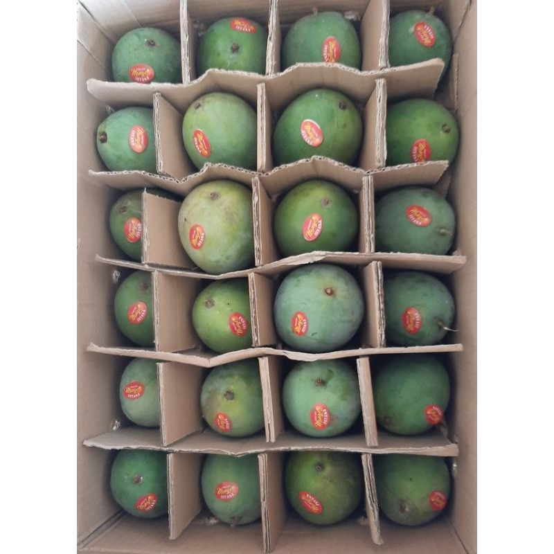 

Harum Manis Istana Premium Grade