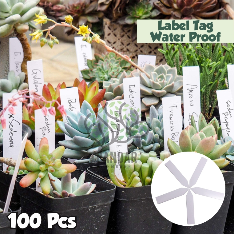Label Tag Tanaman Plastik - Name Tag Tanaman - Label ID Anggrek - Label Tanaman Water Proof