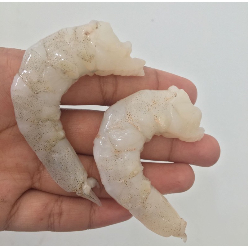 

Udang Kupas Fresh Siap Masak