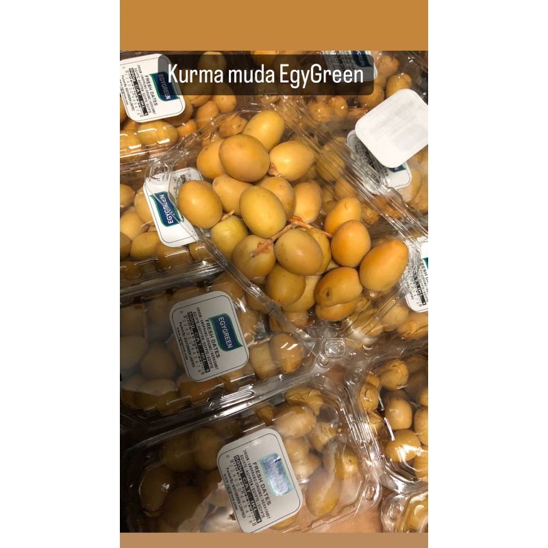 

Kurma Muda EgyGreen Berat 500 gram /pack