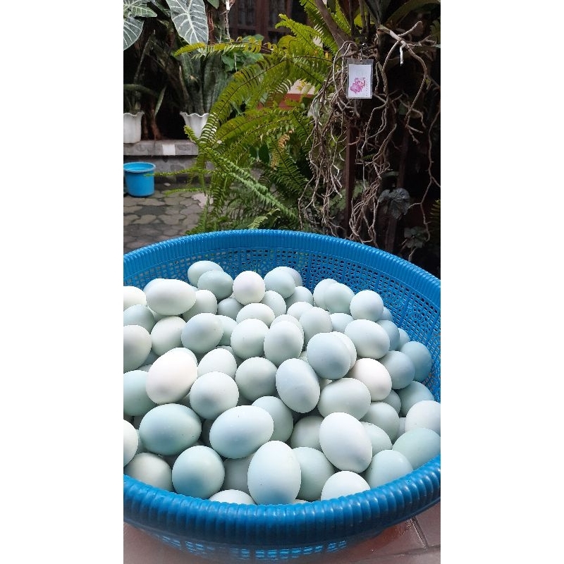 

Telur asin Original Sari luwih