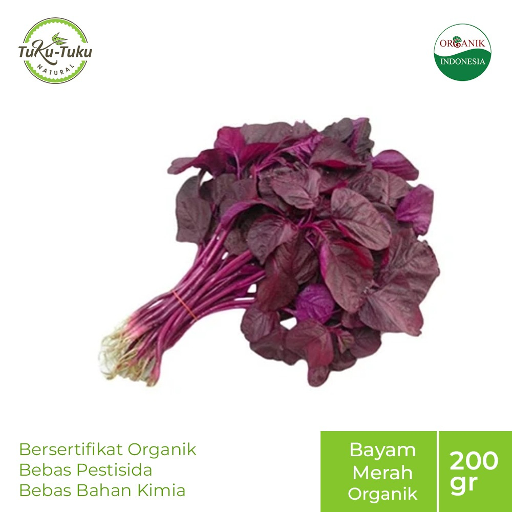 

PAY 2 GET 3 BAYAM MERAH ORGANIK BSP FARM 200GR