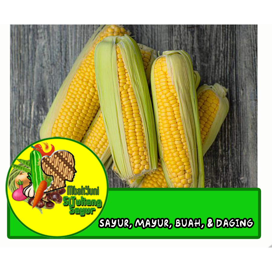 

Jagung Manis