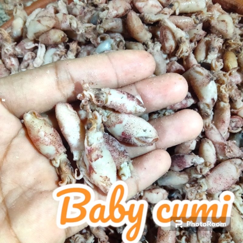 

IKAN ASIN BABY CUMI REBUS 1KG TIDAK TERLALU ASIN