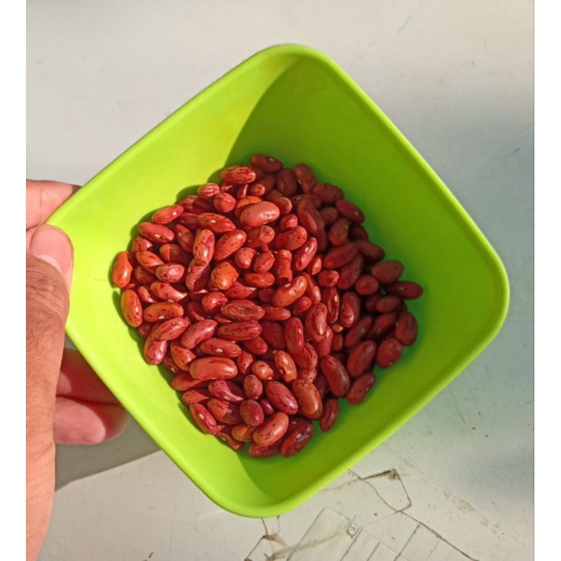 

Kacang Merah untuk brenebon 100 gram