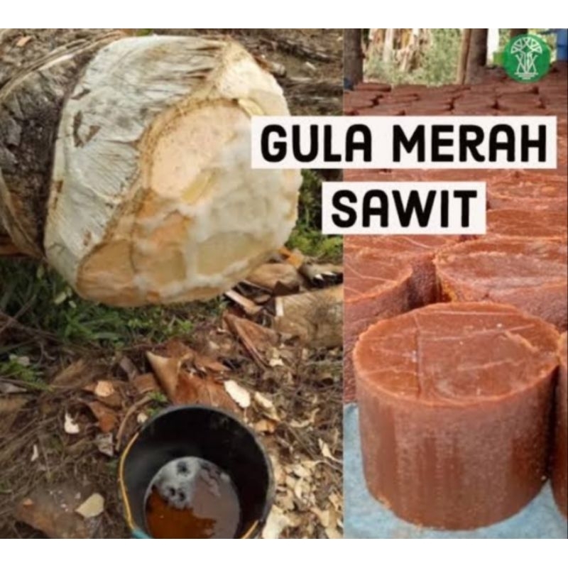 

Gula merah nira sawit